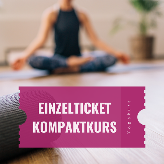 Einzelteilnahme kompakt für 45 min Kurse